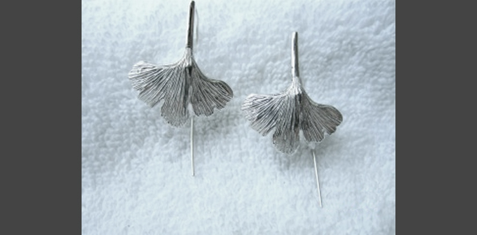 Silver earrings in the shape of a gingko leaf - pretty!